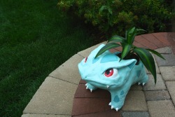saracastically:  a wild ivysaur appeared!my ivysaur planter is