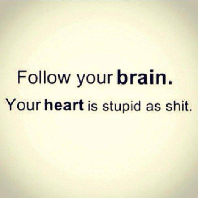eloquentexec:  daintydepravity:  Fact  Indeed