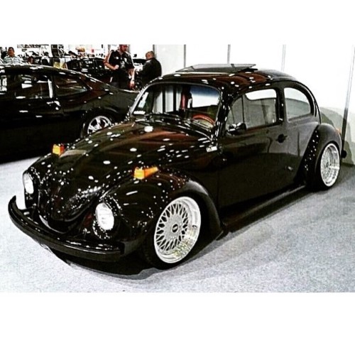 #aircooled #aircooledvw #aircooledvdub #cambered #aircooledvolkswagen #vwporn #beetle #vwbeetle #bug