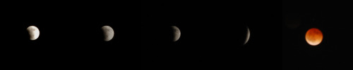 nido-kings:  i took some pictures of the lunar eclipse