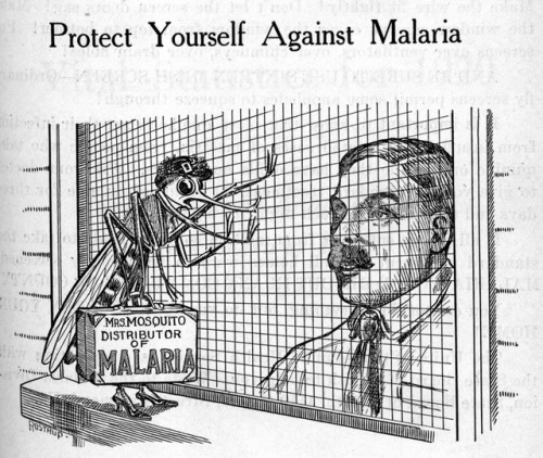 “Mrs. Mosquito - Distributor of MALARIA.”Illustration from the Virginia Health Bulletin, July 1920.