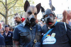 You Can Learn More About Human Pup Play Here: Http://Siriuspup.net Http://Thehappypup.com