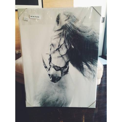 I #love my #new #amazing #horse #canvas from @templeandwebster #templeandwebster #photo #photography