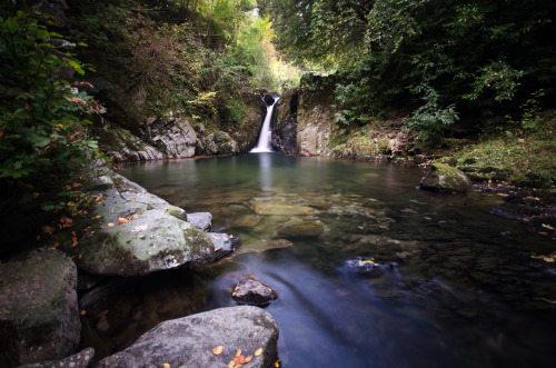 alexmurison:The Grotto, Rydal Hall, Lake District National Park