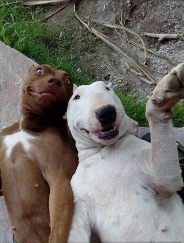 fahbulus:  Taking selfies with my friends like  
