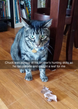 tastefullyoffensive:  Well done, Chuck. (via