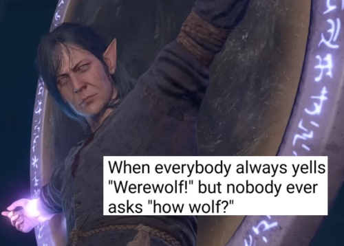 Screenshot of Arnell Hallowleaf (Shadowheart's dad) from BG3. Pasted on text post: "When everybody always yells "Werewolf!" but nobody ever asks "how wolf?""