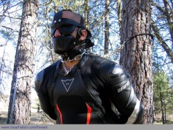 gummimaeuse:  Biker bound, chained and muzzled