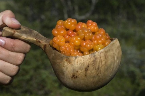 cloudberries