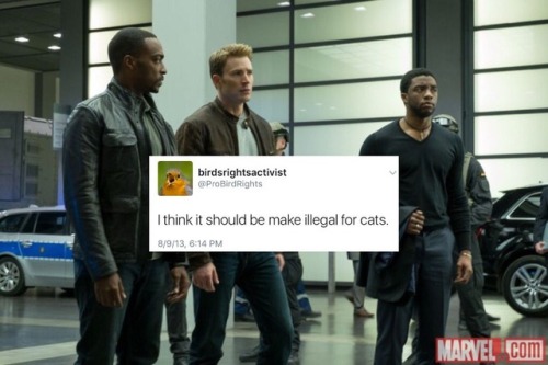 bert-and-ernie-are-gay: Sam Wilson x @ ProBirdRights [insp.][from the twitter genius of stuckyparty]