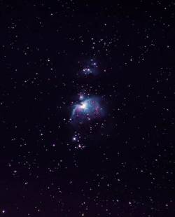 photos-of-space:  Orion Nebula untracked