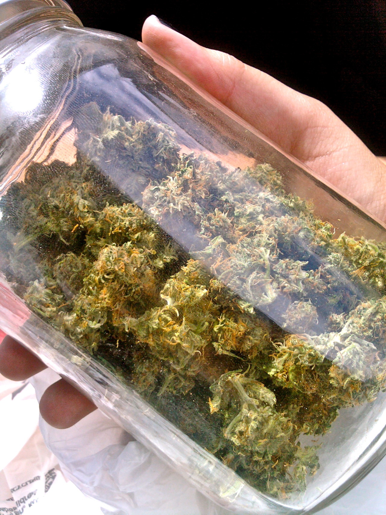 cannaweed420:  Grow your own cannabis - Click here