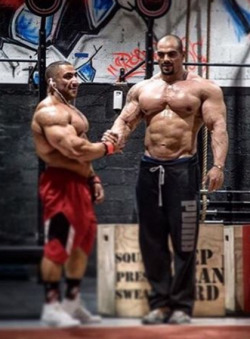 Musculos, Roids y Osos