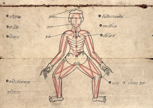 A guide to pressure points for use in ‘Thai Yoga Massage’. 1850