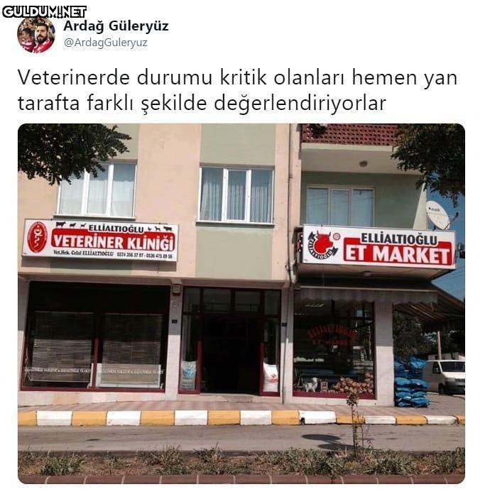 Ardağ Güleryüz...