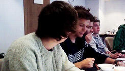 stylin-library:  Harry&amp;Louis in 2013 - (2/3) 