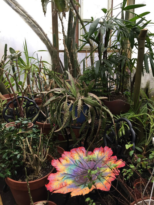 Greenhouse Day @ Sacred Gardens featuring a newly handcrafted wood pallet bench and elevated fruit t