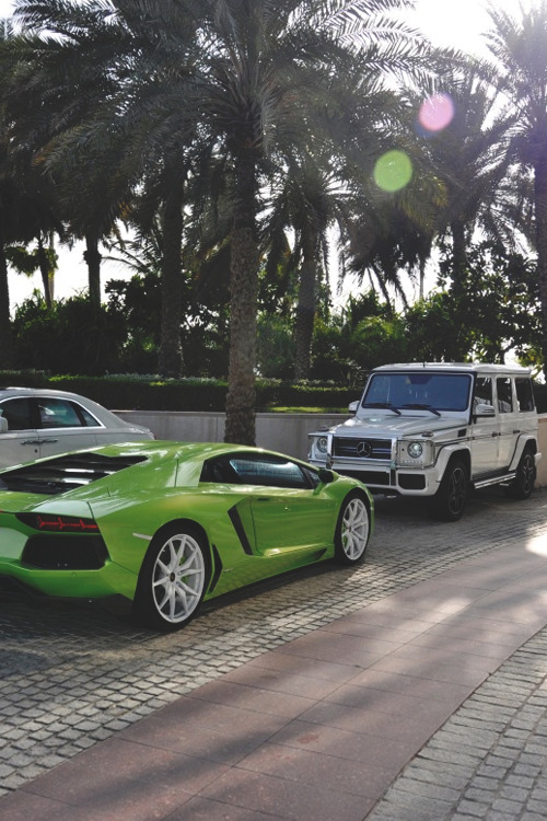 exclusivenesslifestyle:  Go Green! Even On Your Luxury Rides - More HERE 