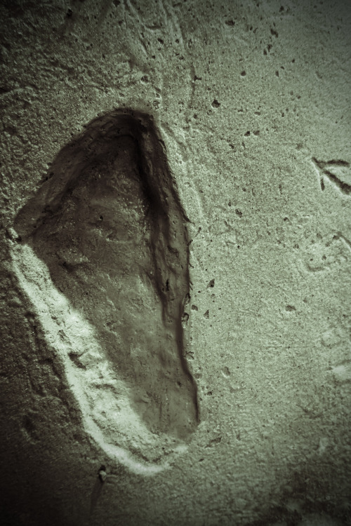 Formby Neolithic Footprint Casts Lomo Edits, 15.8.15. The trail of footprints show the path of a wom