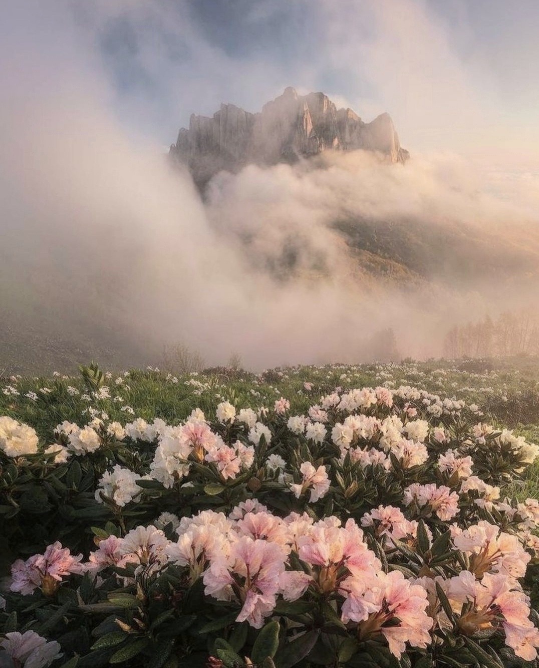 etherea1ity:caucasus mountains, russia. (via)