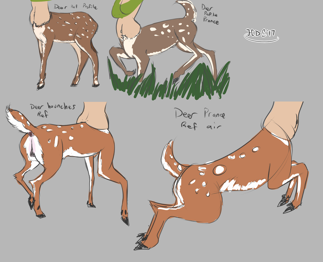 So this is like the first time I actually sat down and studied deer references (yeah