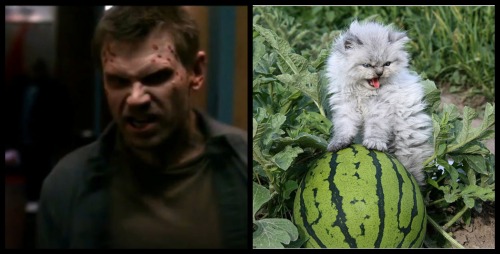 Lucifer/Nick as pissed off cats