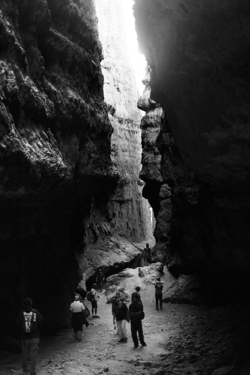 Bryce Canyon.