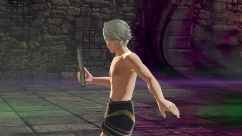 gamecubegrant: LADIES AND GENTS! YOUR MASTER TACTICIAN! SHIRTLESS ROBIN!