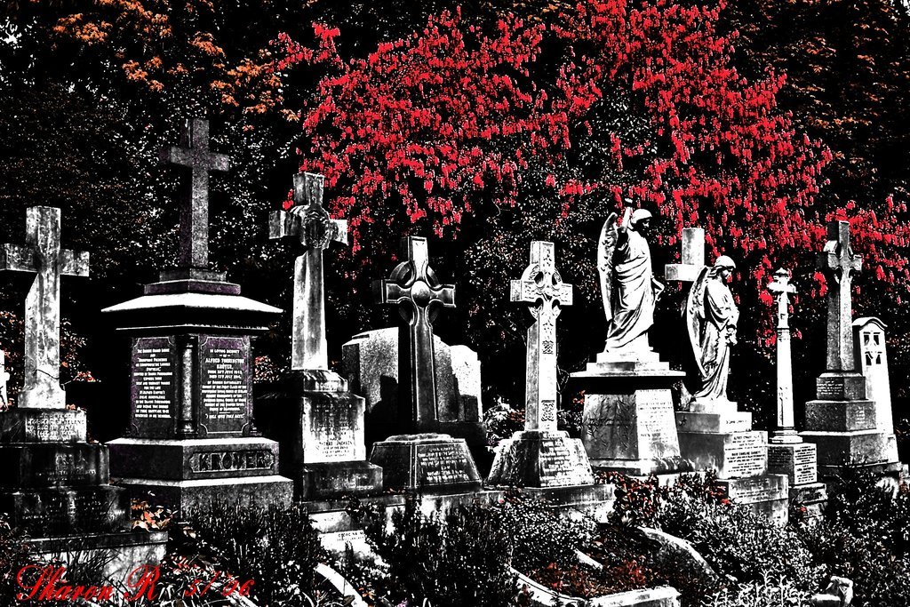 taphophilia:  All in A Row by Gothic-Mystery 