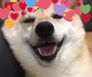 softwaring: mood
