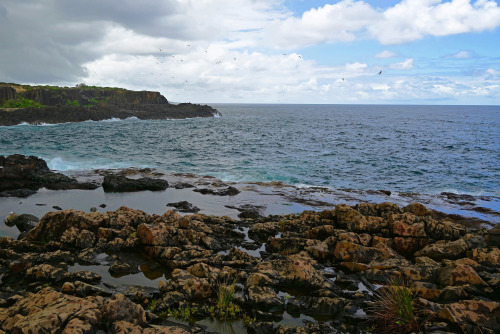 A rugged coastline