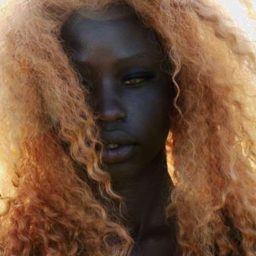 medusabraids:blonde hair on black people adult photos