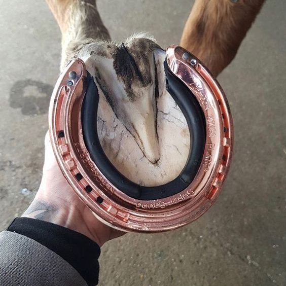 rose gold horse boots