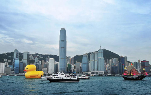 fer1972:  World’s Largest Rubber Duck made by Florentijn Hofman It’s a huge 46 feet tall and 55 feet long inflatable rubber duck 