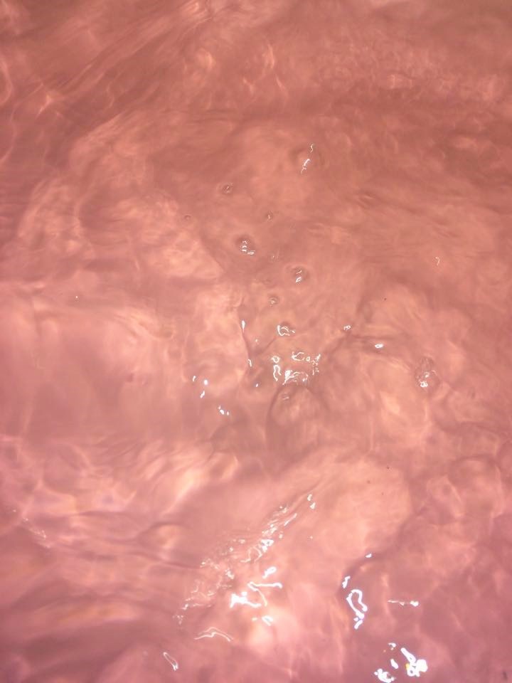 bornthiswayward:I loved myself today with the pinkest bath of my life and some great