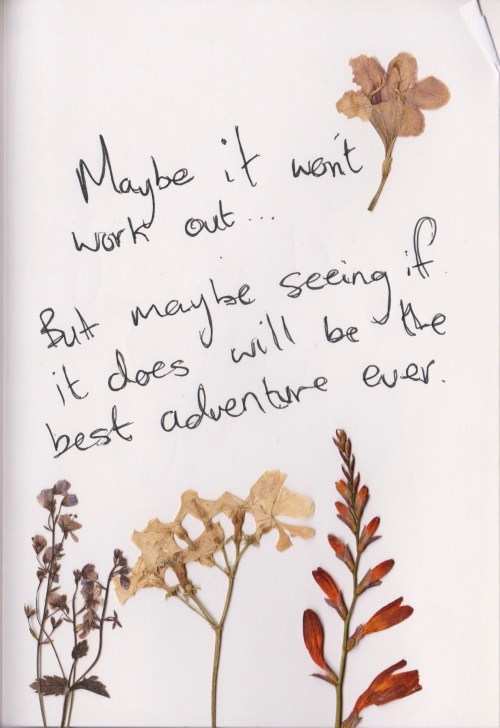 whatever-you-write:“Maybe it won’t work out. But maybe seeing if it does will be the best adventure 