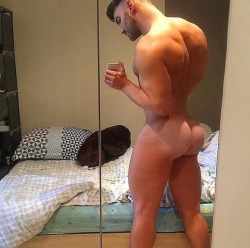 the-perfect-male-ass:  