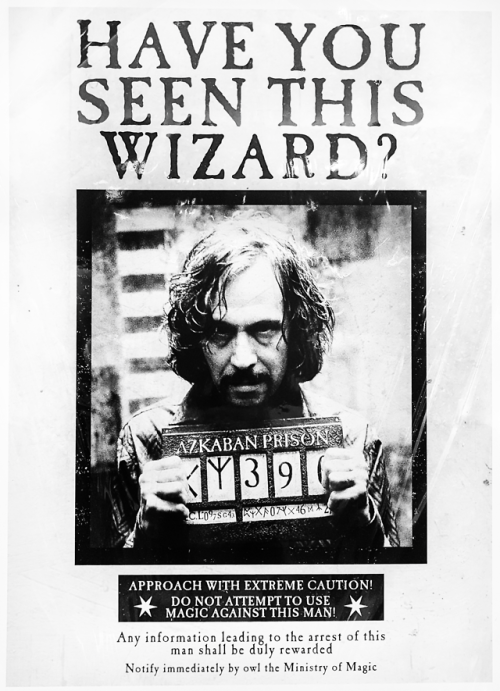 avengcrwanda: Harry Potter wanted posters and The Daily Prophet front pages. – Minalima Exhibi