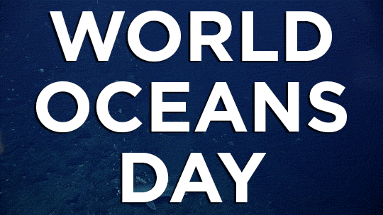 Skunk Bear Happy World Oceans Day Ya Ll In Celebration Npr