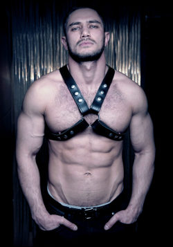 Dato Foland