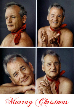 iamnosupermanblog:  Murray Christmas ♥