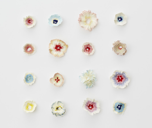 XXX nevver:  Pencil shavings, Haruka Misawa  photo