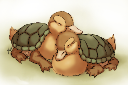 yinza: Some sleepy turtle ducklings for @yellowtrichster!