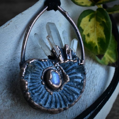 Ammonite fossil and crystal amulet up for grabs in the shop now. Only one❤ www.DarlingDeadAdornment.