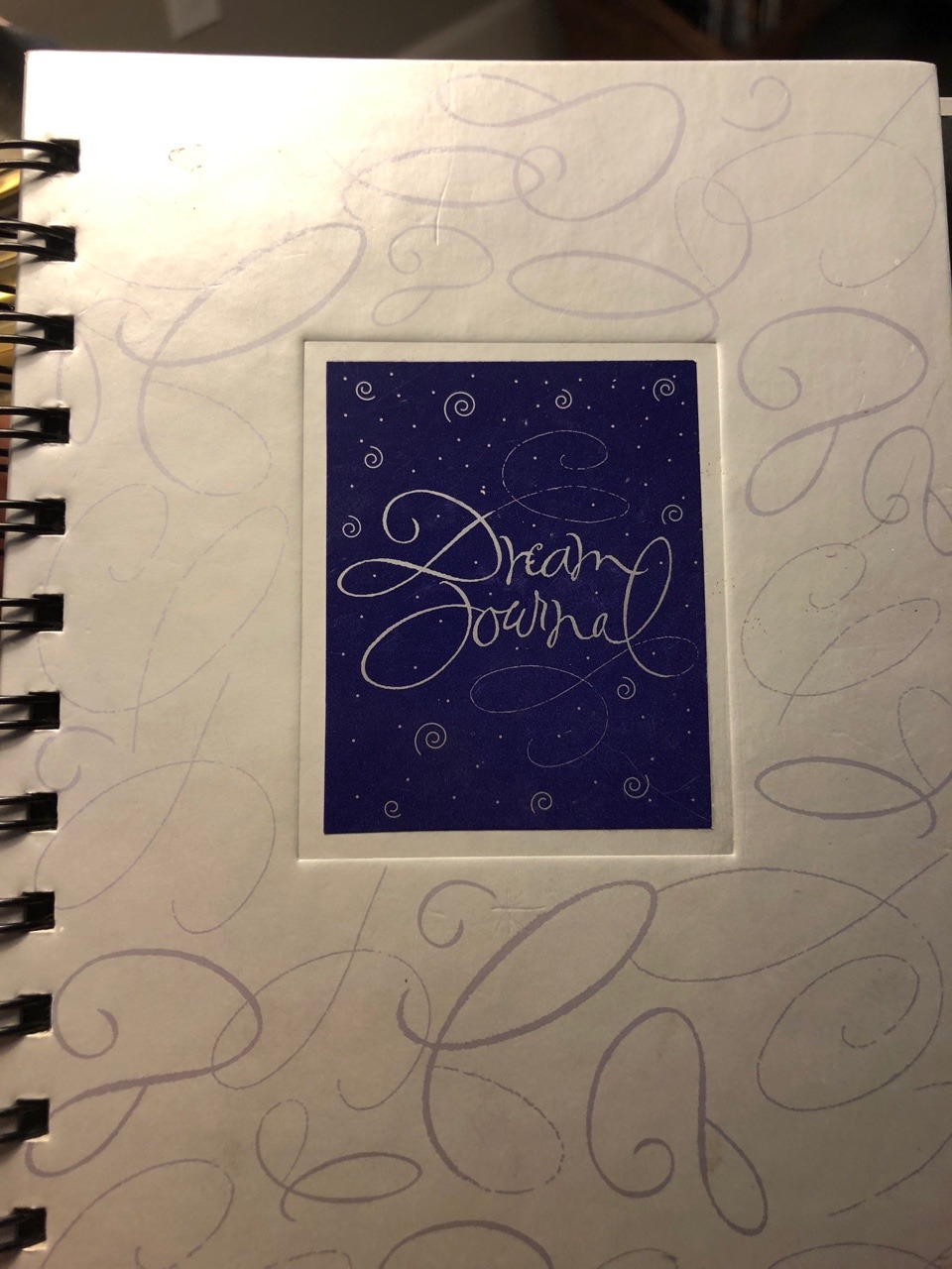 chloeniccole:  In 2006 I had a dream journal (I was 8 at the time) and it was honestly