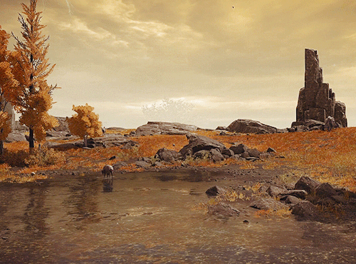 Elden Ring Scenery | Altus Plateau