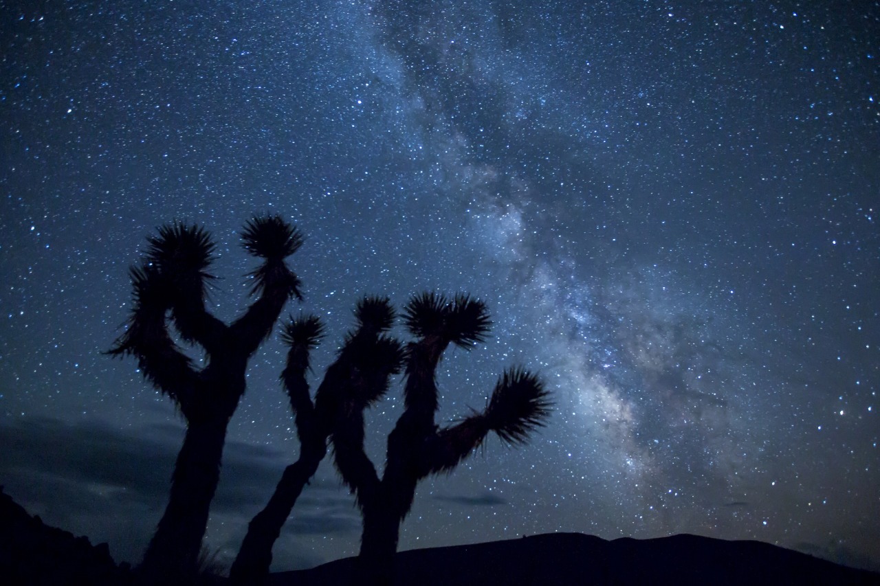 mypubliclands:  We’re bringing in the new year with beautiful skies over your public