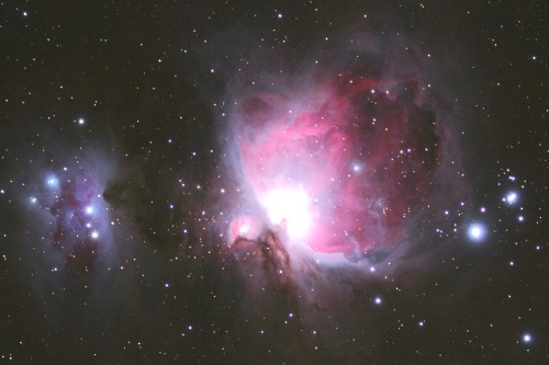 M42 - The Great Orion Nebula (Various Views)