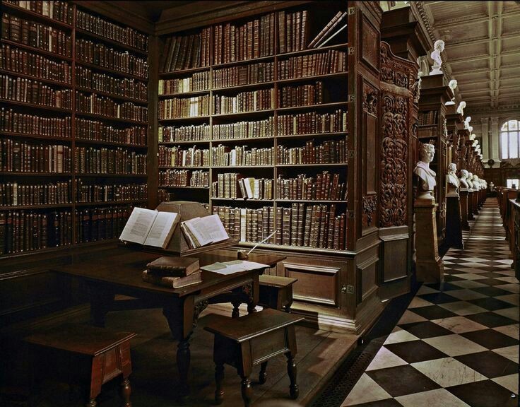 In A Castle S Library