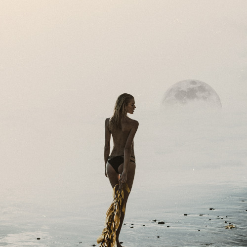 keslertran:  Chasing Tides 